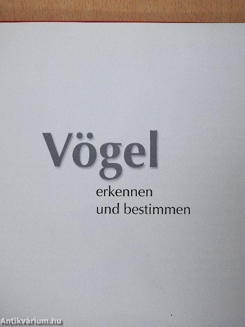 Kinder entdecken die Natur - Vögel