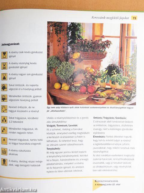 Szobanövények kiválasztása és gondozása