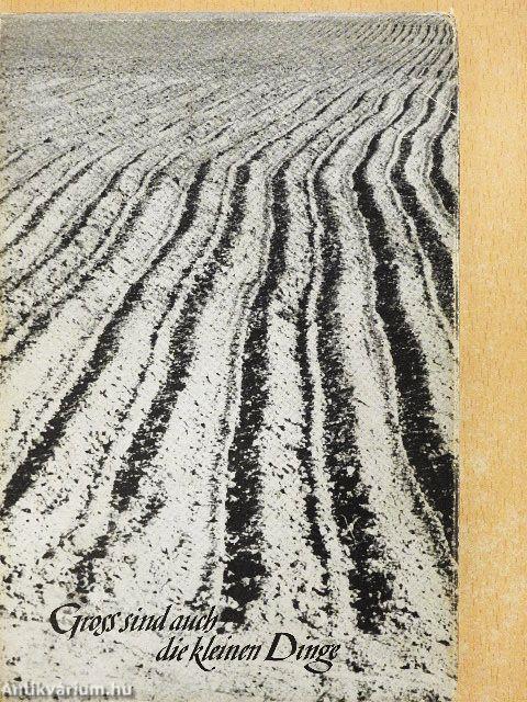 Gross sind auch die kleinen Dinge