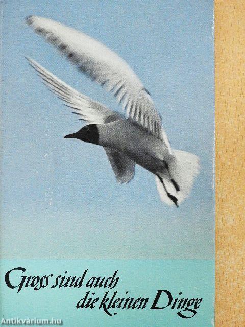 Gross sind auch die kleinen Dinge