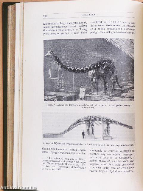 Természettudományi Közlöny 1910. január-december/Pótfüzetek a Természettudományi Közlönyhöz 1910. január-december