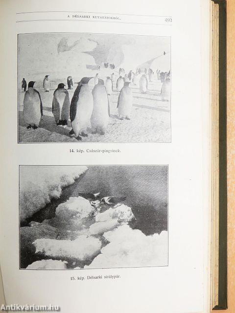 Természettudományi Közlöny 1910. január-december/Pótfüzetek a Természettudományi Közlönyhöz 1910. január-december