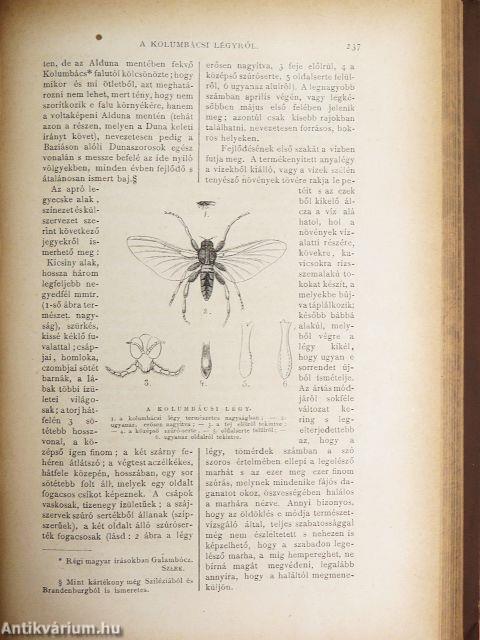 Természettudományi Közlöny 1876. január-december
