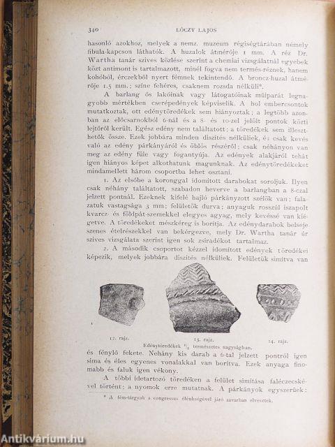 Természettudományi Közlöny 1877. január-december