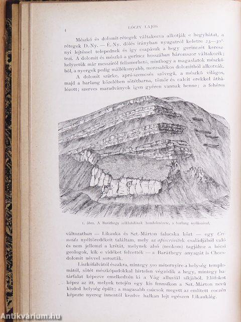 Természettudományi Közlöny 1877. január-december