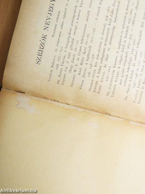 Természettudományi Közlöny 1882. (nem teljes évfolyam)