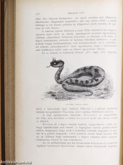 Természettudományi Közlöny 1882. (nem teljes évfolyam)