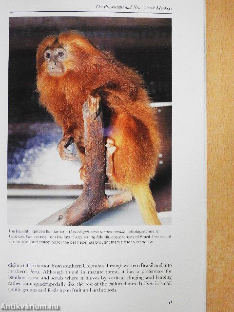 Primates of the World