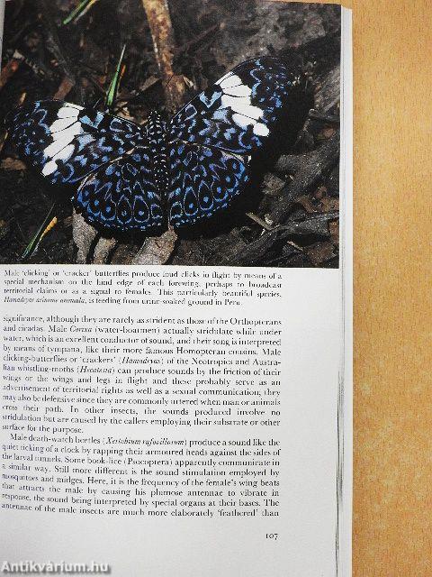 Insects of the World