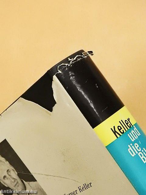 Und die Bibel hat doch Recht