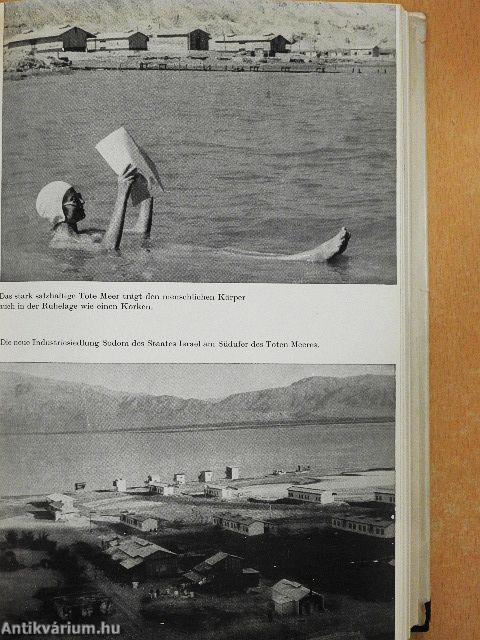 Und die Bibel hat doch Recht