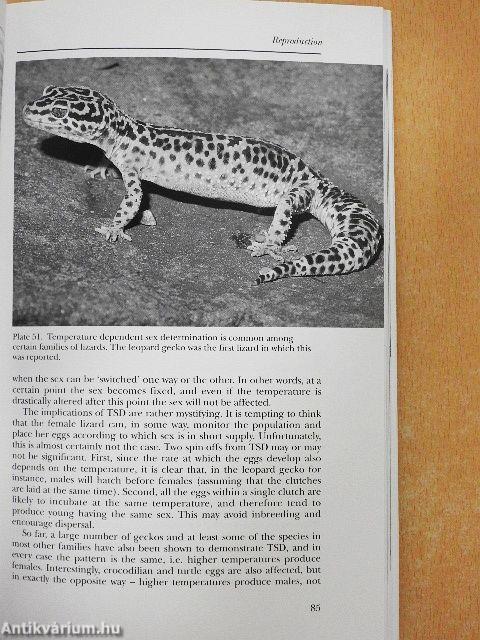 Lizards of the World