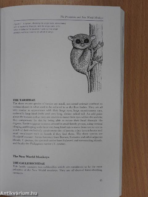 Primates of the World