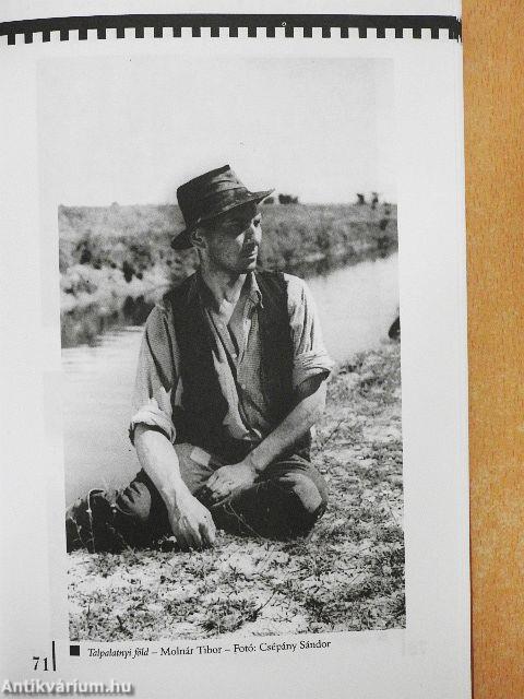 A magyar hangosfilm hét évtizede