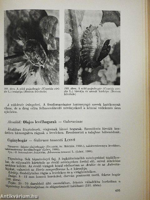 Kertészeti kártevők