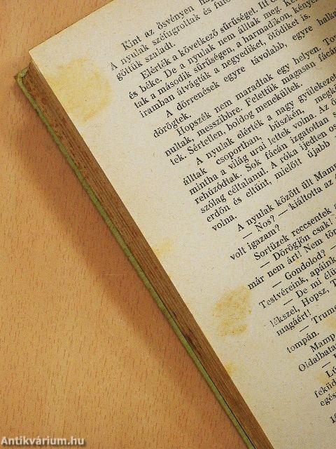 Amiről az erdő mesél