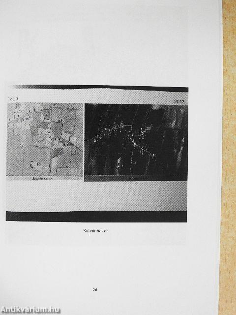 A Nyíregyháza környéki bokortanyák helyzete az 1750-es évekbeli újratelepítéstől napjainkig