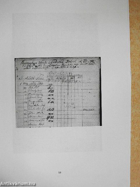 A Nyíregyháza környéki bokortanyák helyzete az 1750-es évekbeli újratelepítéstől napjainkig