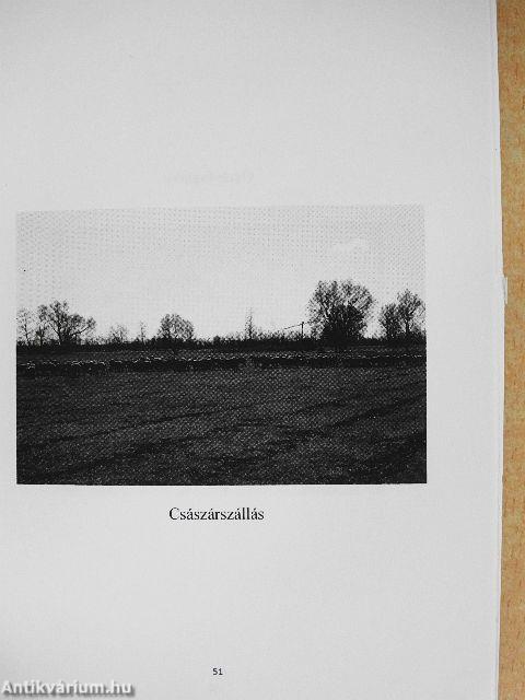 A Nyíregyháza környéki bokortanyák helyzete az 1750-es évekbeli újratelepítéstől napjainkig