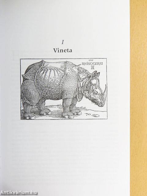 A pápa rinocérosza