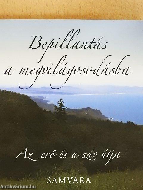 Bepillantás a megvilágosodásba