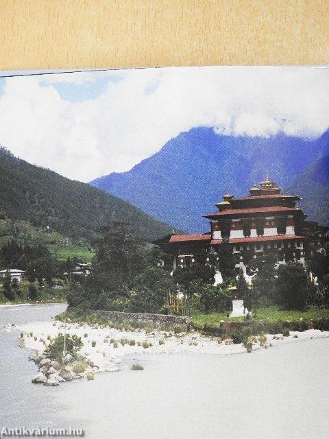 Bepillantás a megvilágosodásba