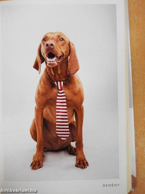 Demény - Most én ugatok