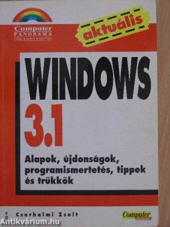 Windows 3.1