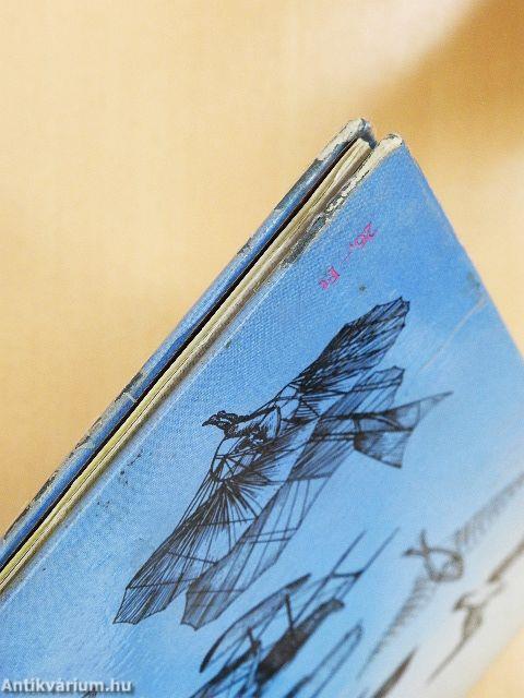 Mesélj a repülésről!