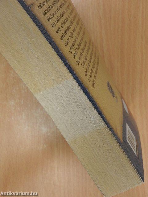 Száz híres regény I-II.