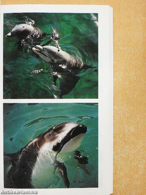 The Macdonald Encyclopedia of Mammals