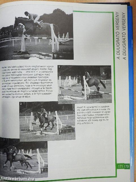 Lovasiskola