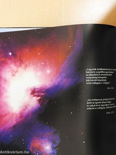 Természet és ember