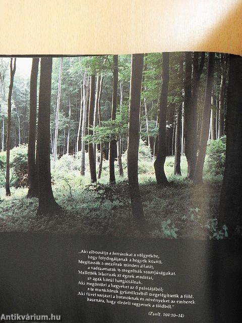 Természet és ember