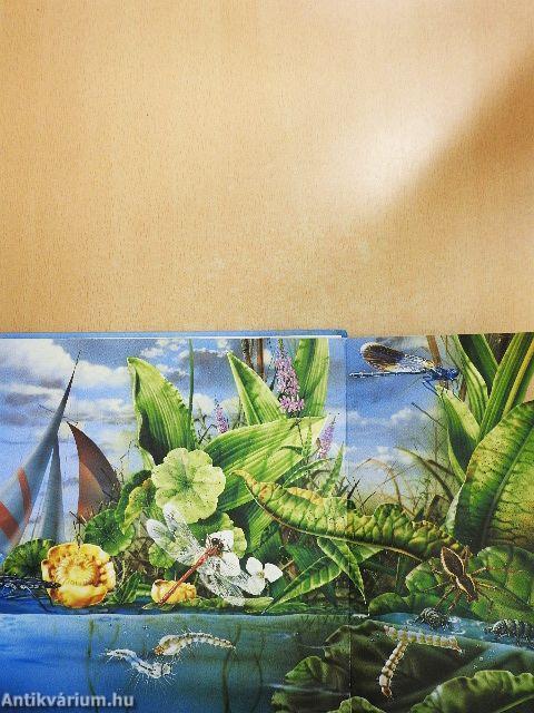 Folyók, tavak élővilága