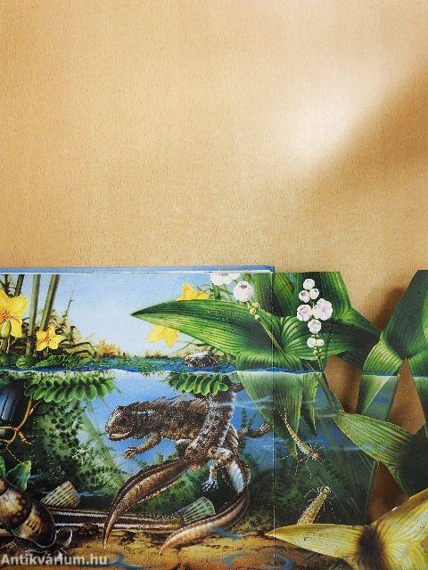 Folyók, tavak élővilága