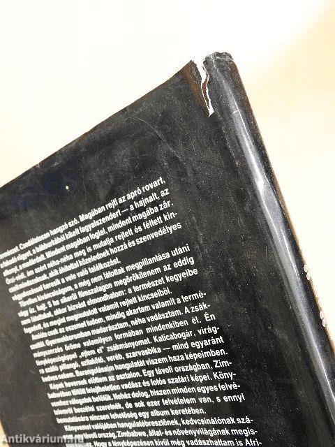 Vadászat Kudu-földön