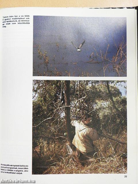 Vadászat Kudu-földön