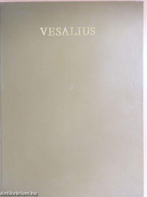 De humani corporis fabrica