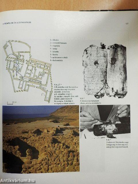 Bibliai képeskönyv