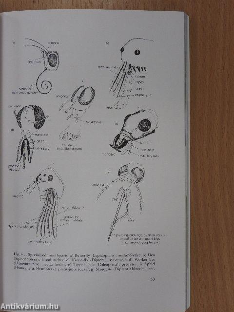 Insects of the World