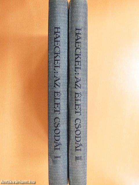 Az élet csodái I-II.