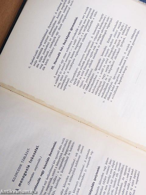 Az élet csodái I-II.