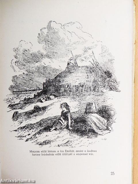 Copperfield Dávid ifjúsága