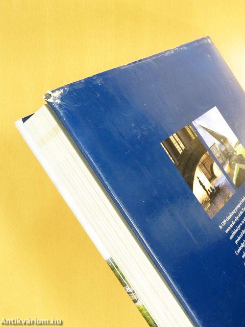 The University of Cambridge