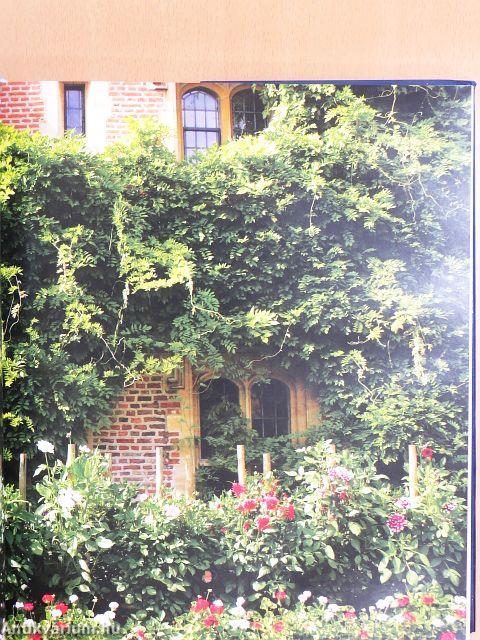 The University of Cambridge