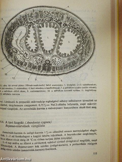 Összehasonlító élettani gyakorlatok és bemutatások