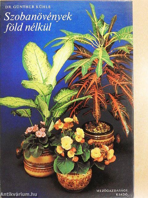 Szobanövények föld nélkül