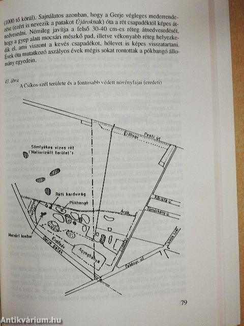 Éden a Duna-Tisza közi Pest megyében
