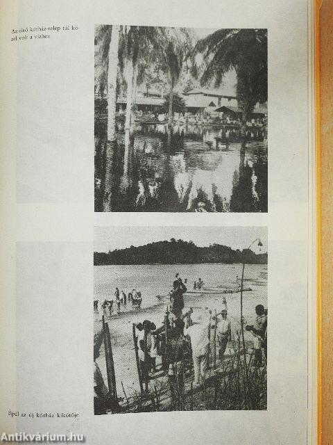 Gyermekkorom és ifjúságom emlékeiből/Albert Schweitzer, a diakónus